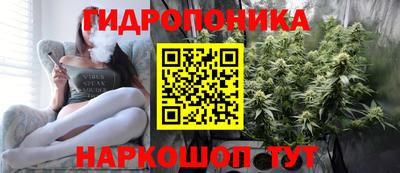 винт Новокубанск