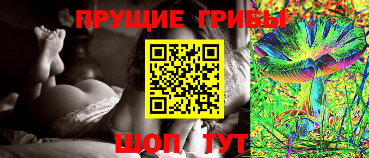 Псилоцибиновые грибы ЛСД Новодвинск