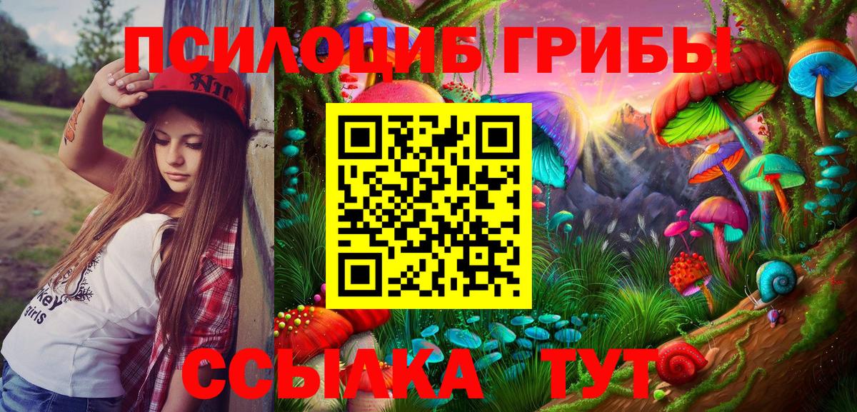 Новодвинск  Галлюциногенные грибы мицелий  Вход с VPN 